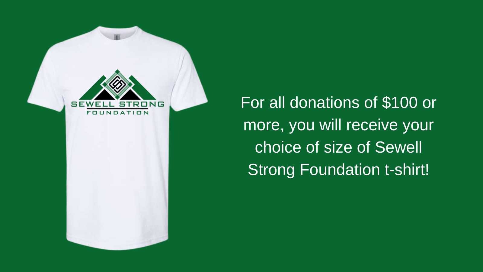 Get A Free T-Shirt when you donate $100 or more